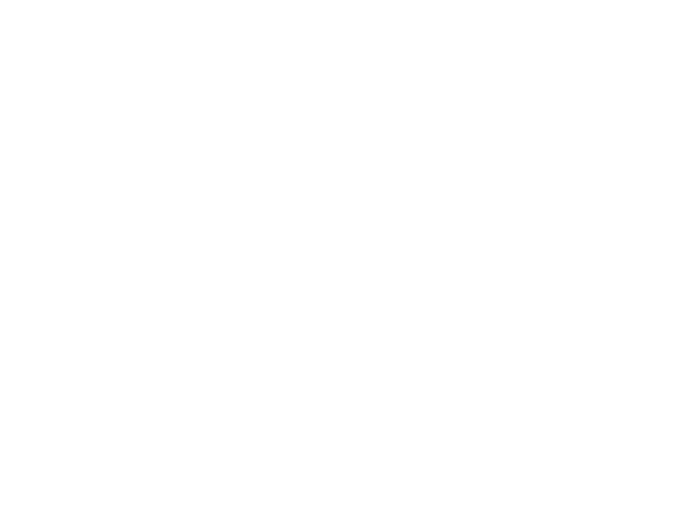 The Social Element Brand